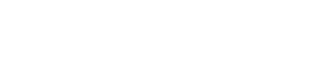 Webcentric Logo
